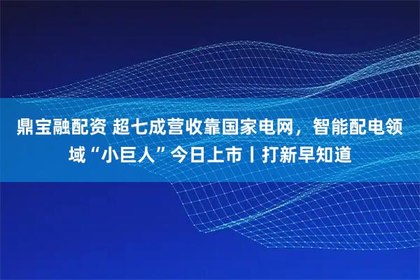 鼎宝融配资 超七成营收靠国家电网，智能配电领域“小巨人”今日上市丨打新早知道
